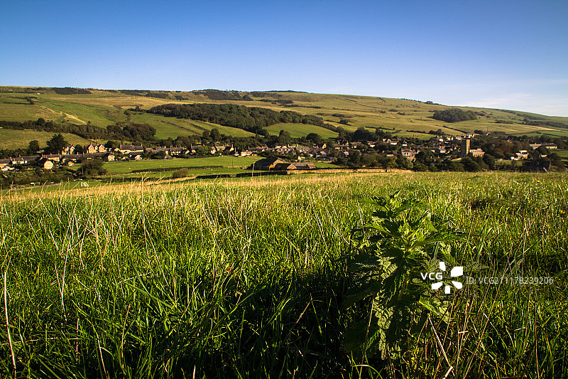 多塞特阿伯茨伯里的阳光明媚的一天图片素材