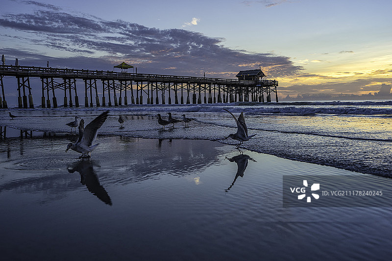 可可海滩码头的早午餐图片素材