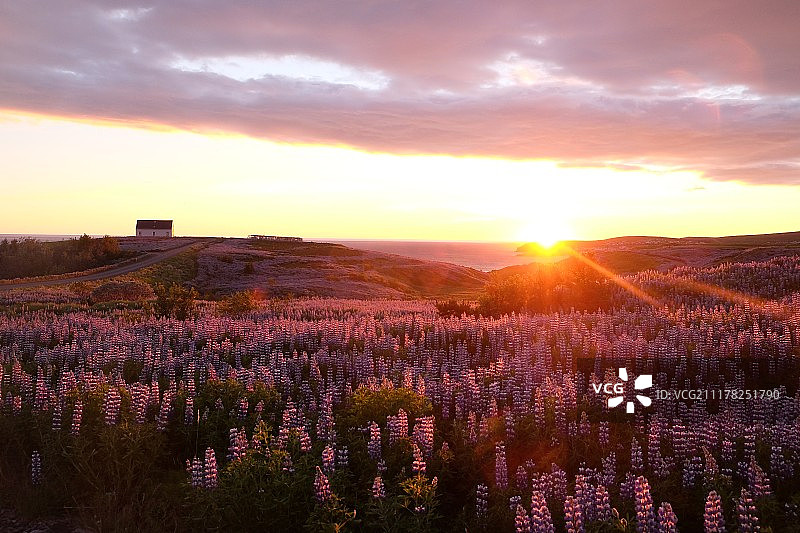 胡萨维克，冰岛图片素材