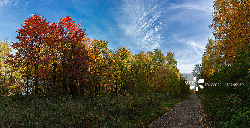 金色的秋天图片素材