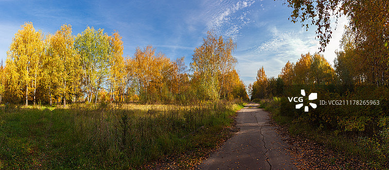 金色的秋天图片素材
