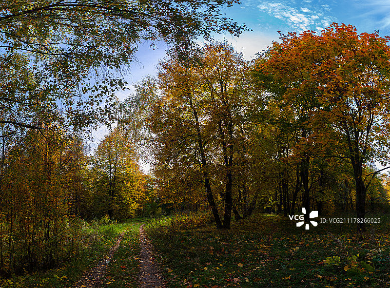 金色的秋天图片素材