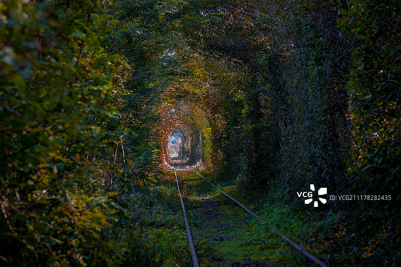 爱情隧道图片素材