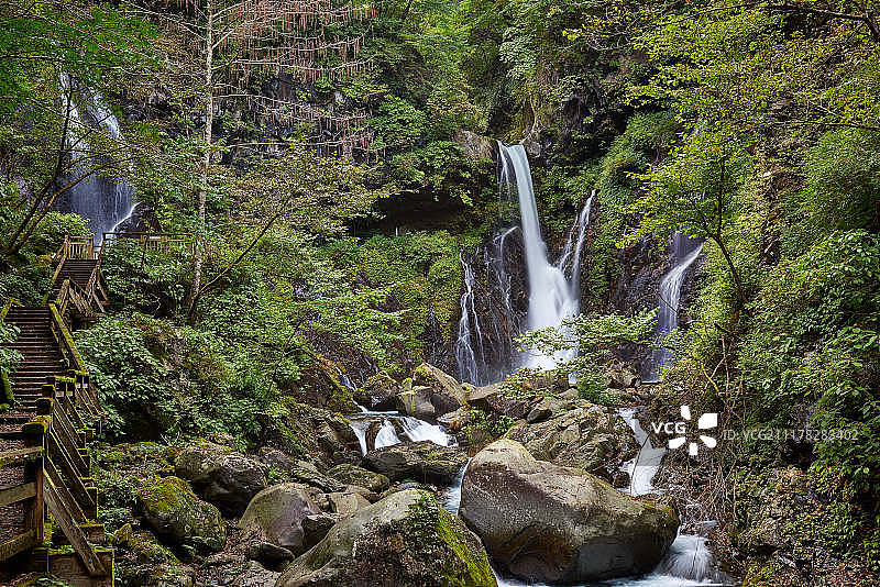 宇拉米塔基图片素材