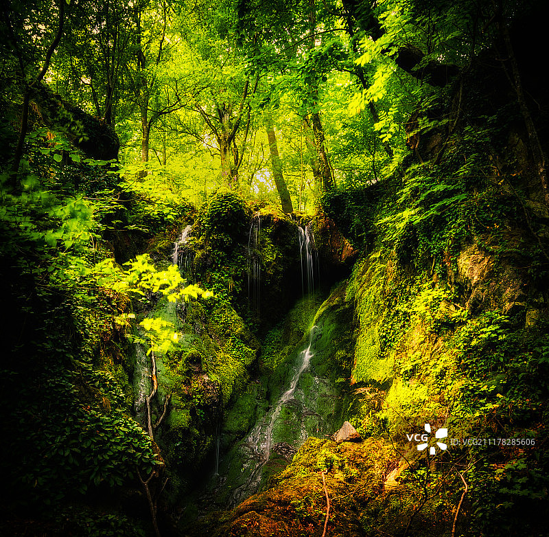 侏罗纪世界图片素材