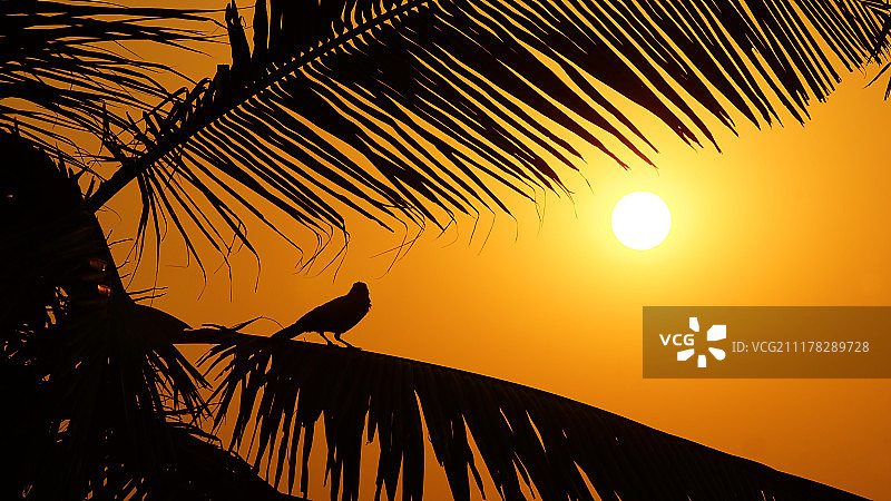 鸟瞰图图片素材