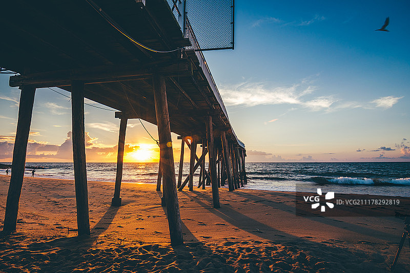 早间鱼讯图片素材