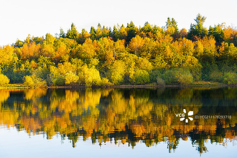 秋天的颜色图片素材