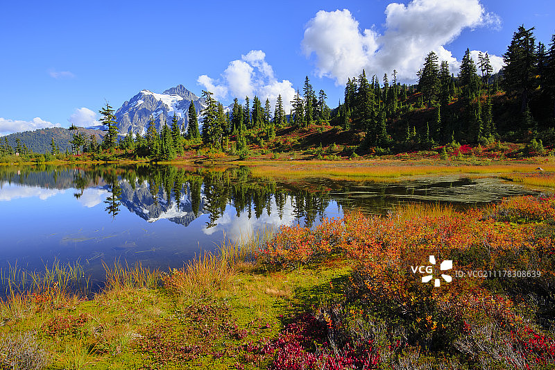 秋天的色彩图片素材