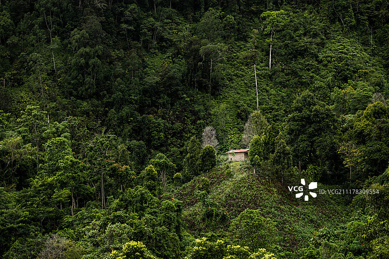 草原上的小屋图片素材