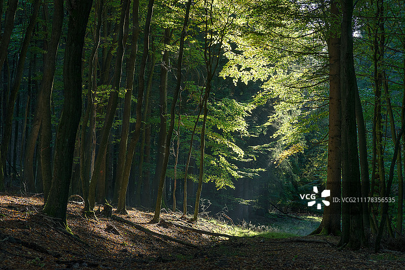 走进光明图片素材