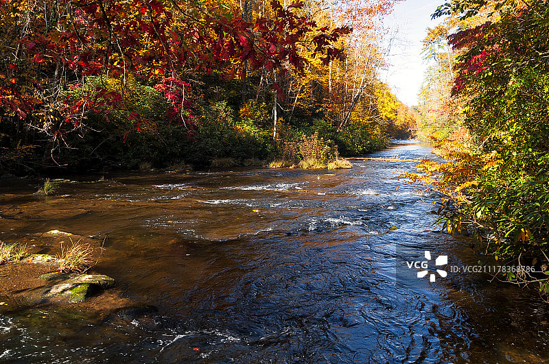 凯德氏症但图片素材