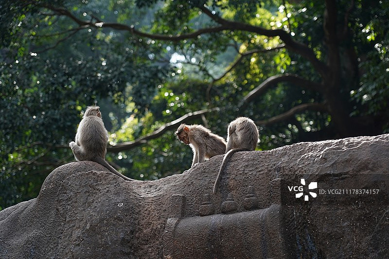 自然图像图片素材