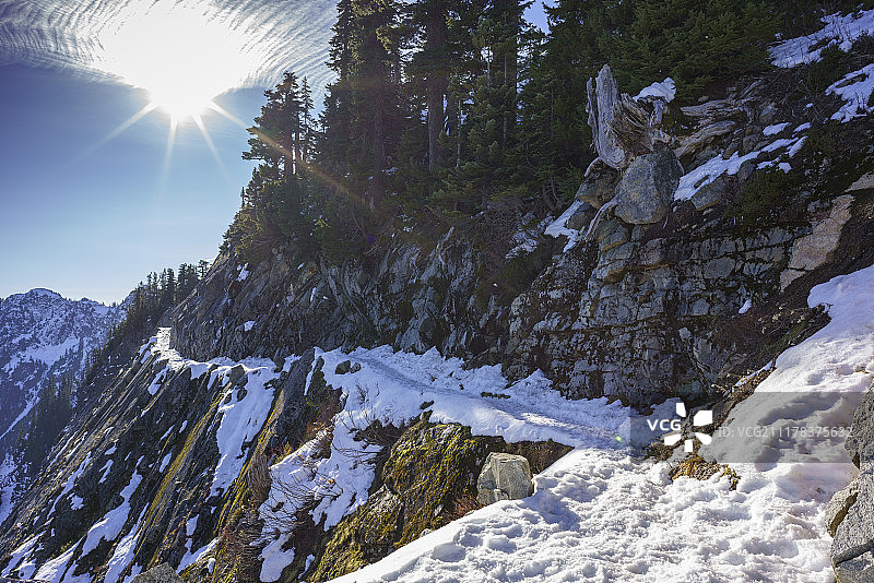肯德尔猫步图片素材