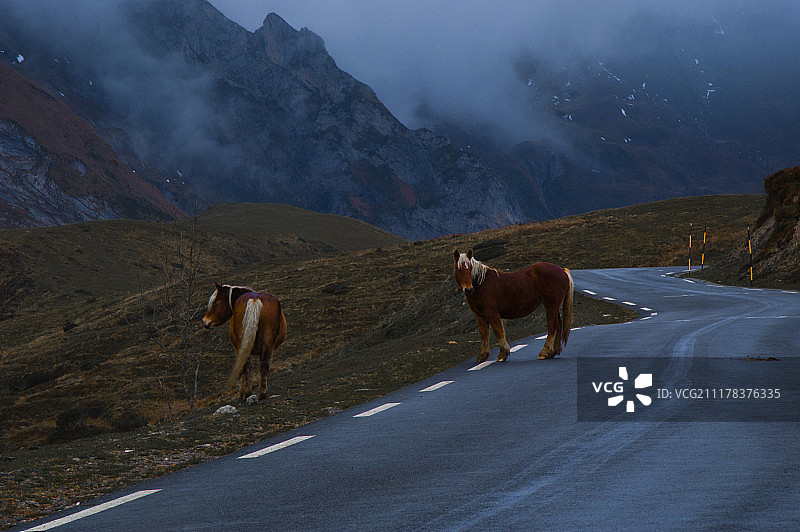 通往雾蒙蒙天堂的道路图片素材