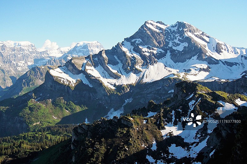 他们的图片素材