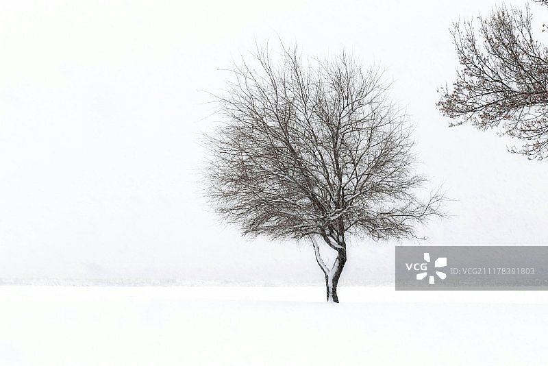 静静地等待图片素材