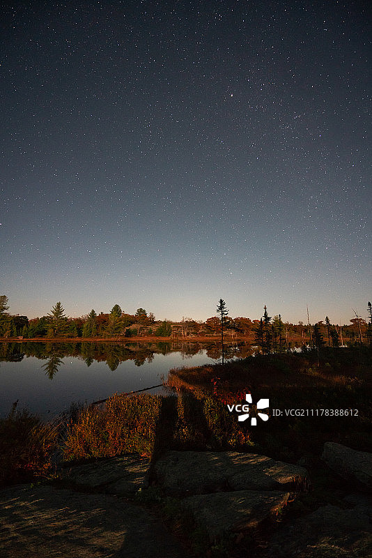 月光照耀荒野图片素材