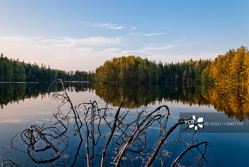秋季景观：河边的森林图片素材