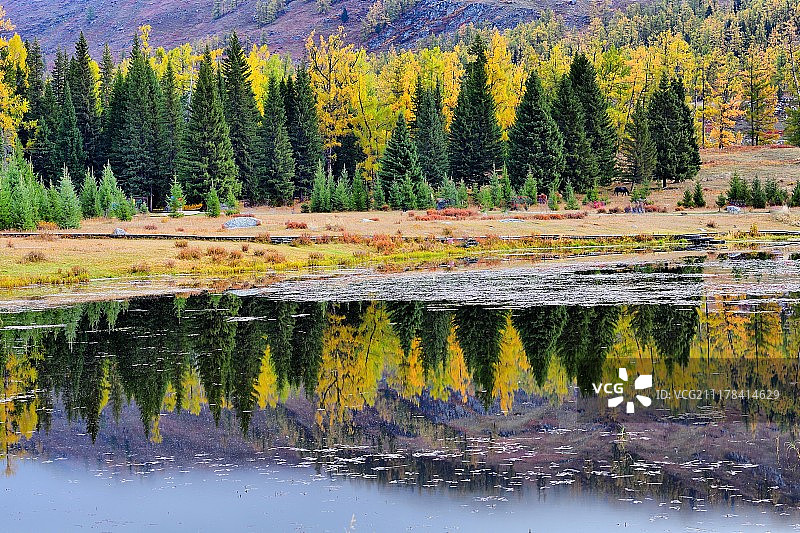 新鲜的图片素材