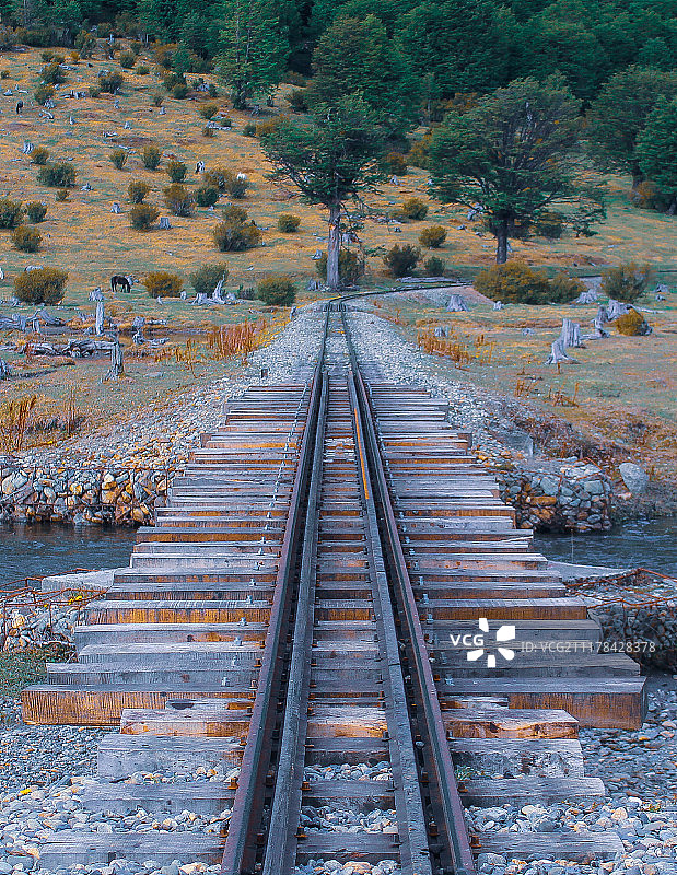 通往木桥的小路图片素材