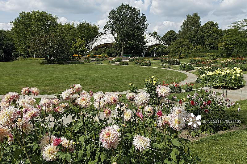 德国埃森格鲁加公园大丽花景观图片素材
