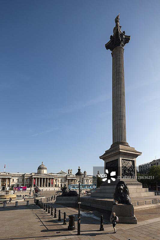 英国伦敦特拉法加广场的纳尔逊纪念柱图片素材