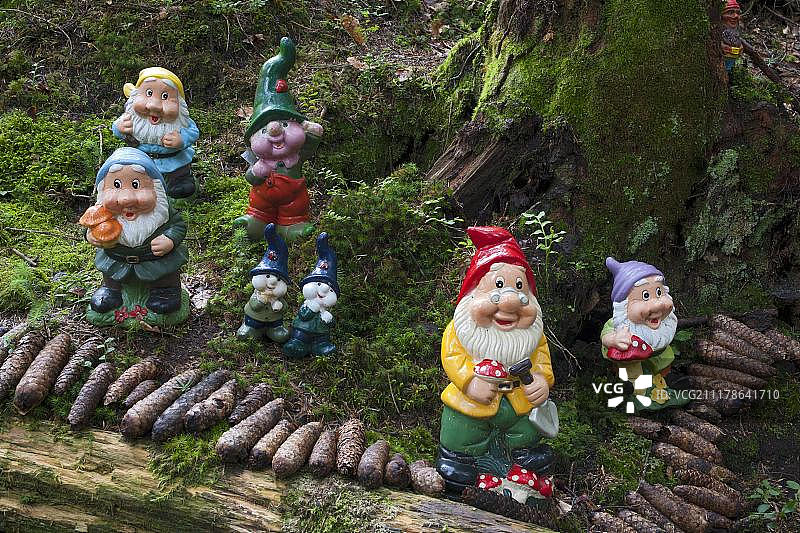 奥地利蒂罗尔州霍普夫加滕森林游乐场中的花园侏儒图片素材