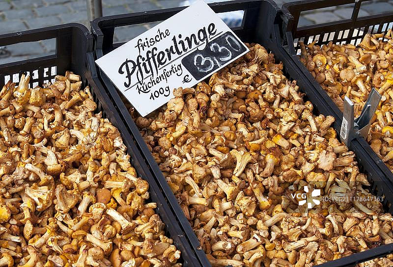 在售的新鲜鸡油菌，主市场，纽伦堡，巴伐利亚，德国，欧洲图片素材