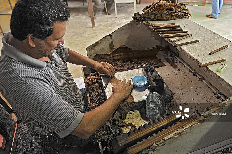 卷烟叶，哥斯达黎加阿拉胡埃拉省圣拉蒙附近的雪茄工厂，中美洲图片素材