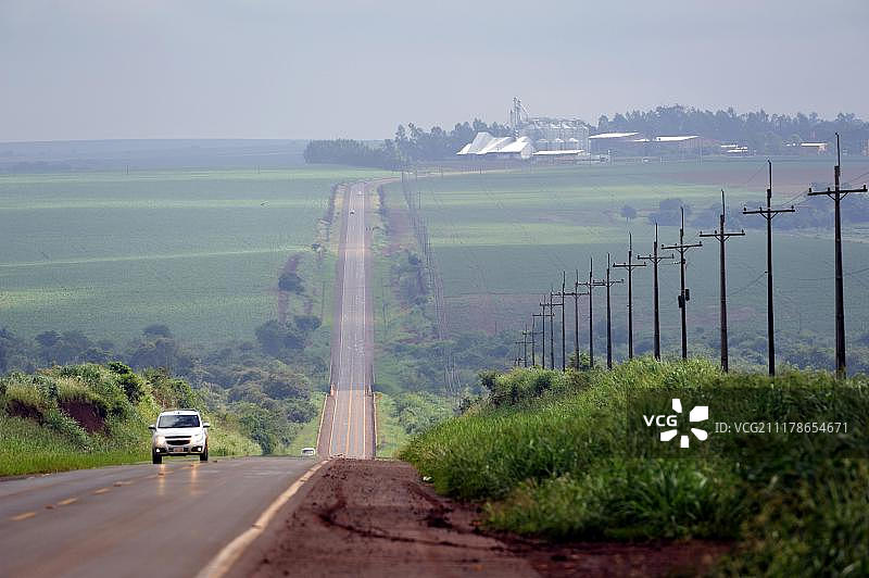 街道两旁是玉米田，转基因玉米，大型土地所有者的单一作物种植，后方有大豆和玉米筒仓，巴拉圭上巴拉那，南美洲图片素材