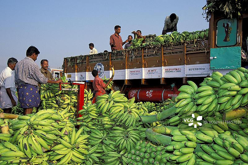 印度南部喀拉拉邦，Thrissur，印度，亚洲，香蕉市场，香蕉被装载在卡车上图片素材