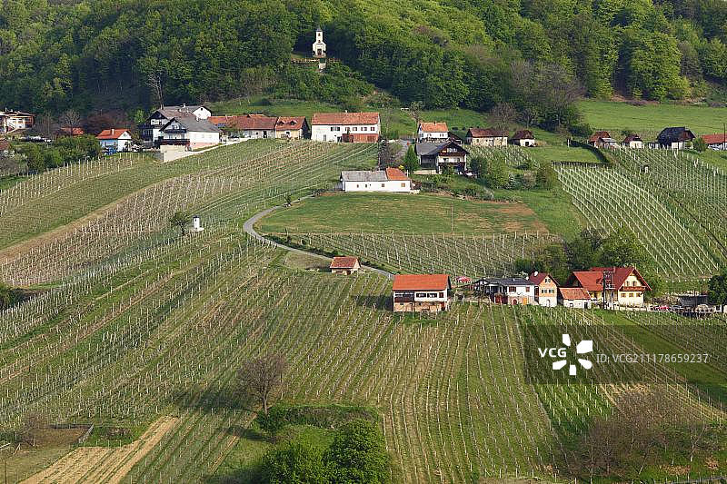 奥地利克洛赫葡萄酒之路圣安娜葡萄园图片素材