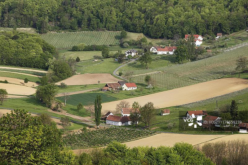 圣安娜附近的人工景观，位于奥地利施蒂利亚州的克洛赫葡萄酒之路图片素材