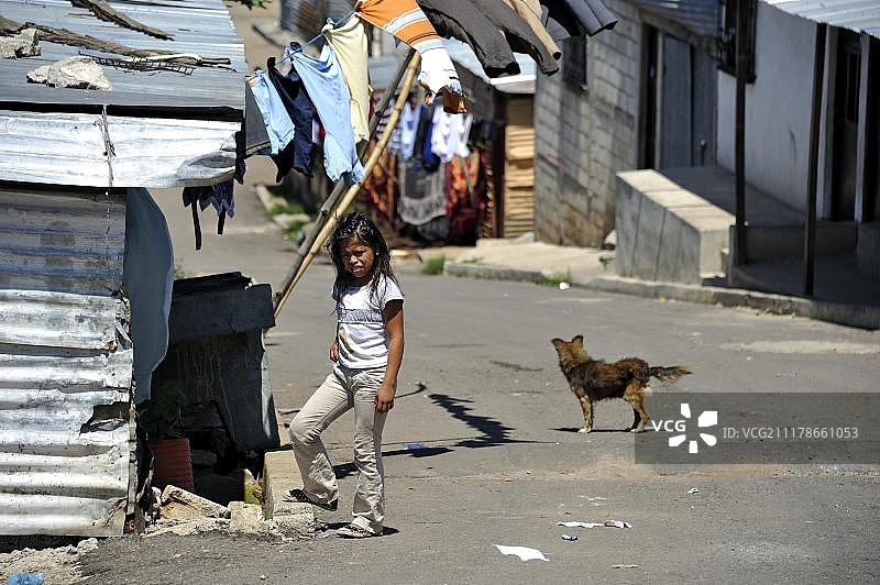 危地马拉城圣塔法兹贫民窟街上的女孩和狗图片素材