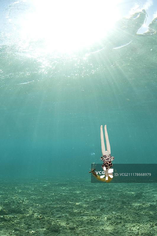 在印度尼西亚马鲁古群岛安汶岛附近的海中漂流的玩偶图片素材