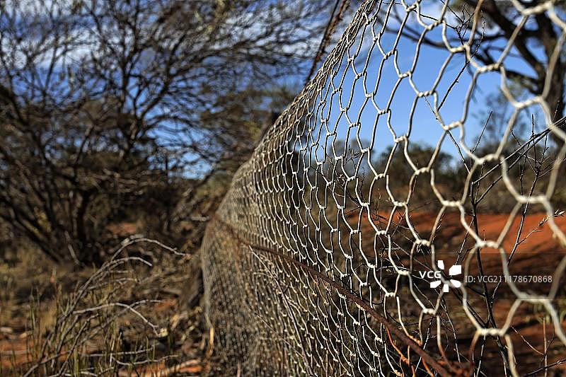 澳大利亚西部的防兔栅栏图片素材