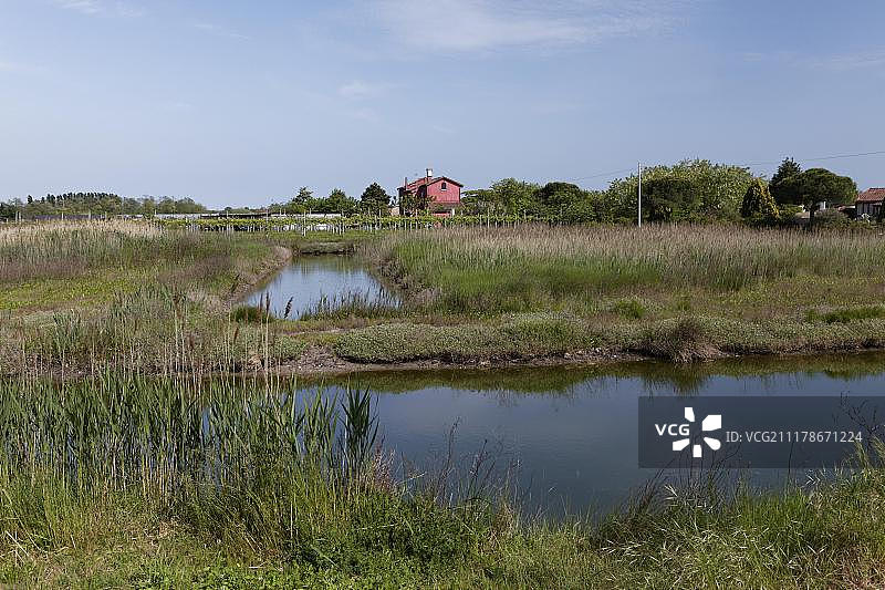 意大利威尼斯圣埃拉斯莫岛风光图片素材