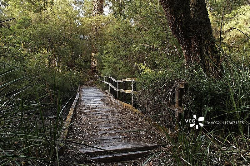 西澳大利亚香农国家公园的旧木人行桥图片素材