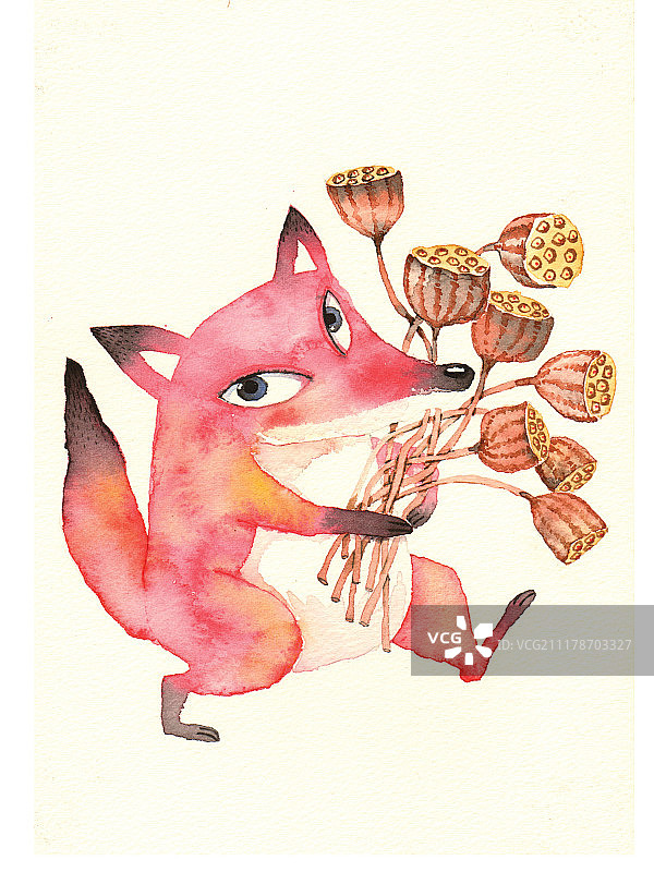水彩画儿童插画抱着莲蓬行走的狐狸图片素材