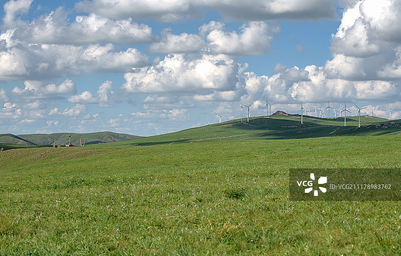 辉腾锡勒草原黄花沟图片素材