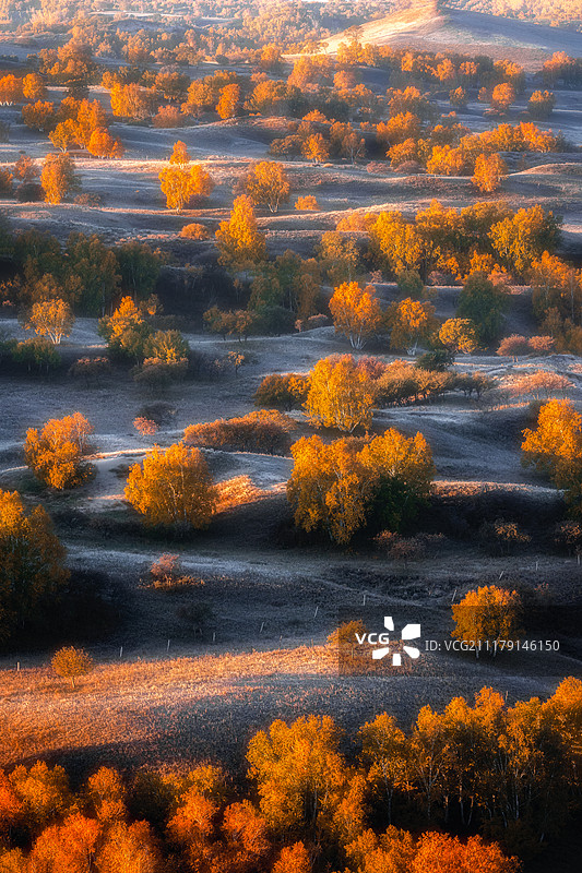 赤峰草原晨光图片素材