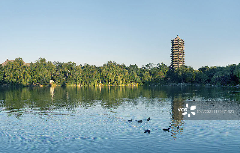 北大未名湖畔与博雅塔图片素材