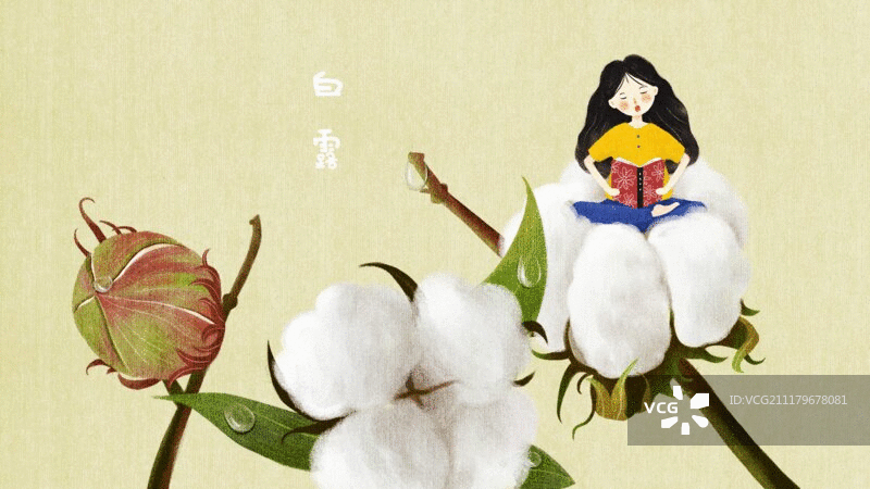 节气白露图片素材