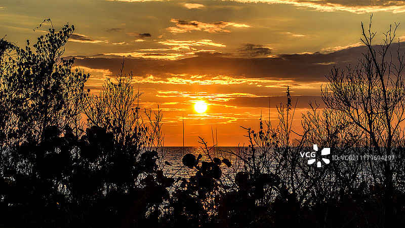 博尼塔斯普林斯/佛罗里达的日落2图片素材