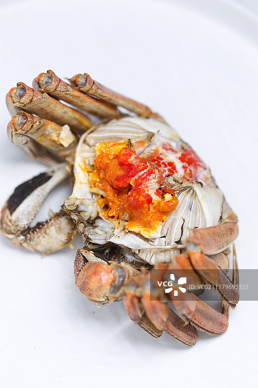 阳澄湖大闸蟹图片素材
