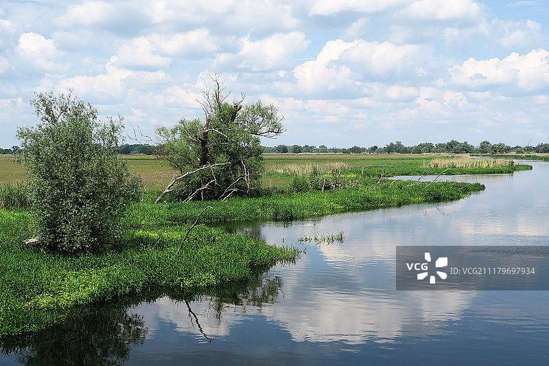 夏日哈弗尔河畔风光（勃兰登堡州，德国）图片素材