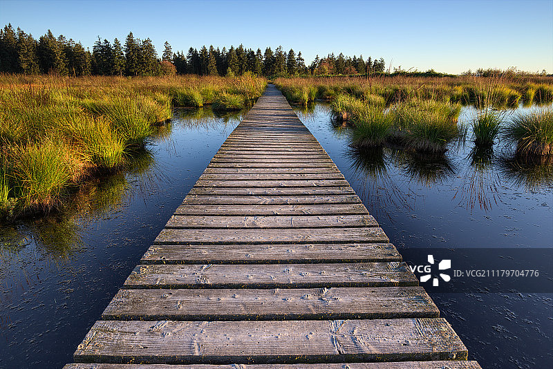 自然禅意之旅图片素材