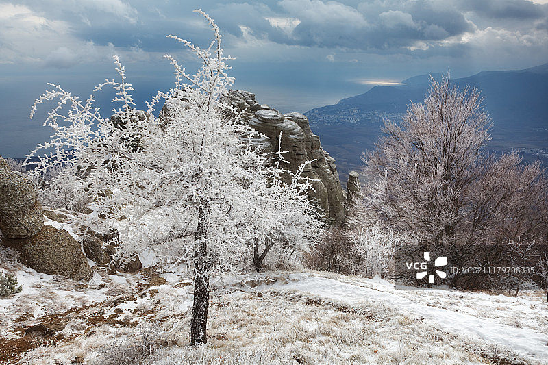 水晶树图片素材