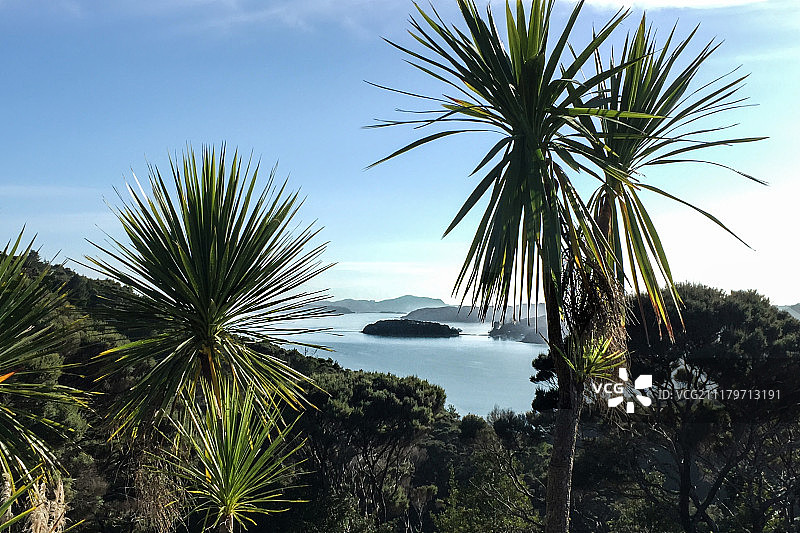 派希亚图片素材